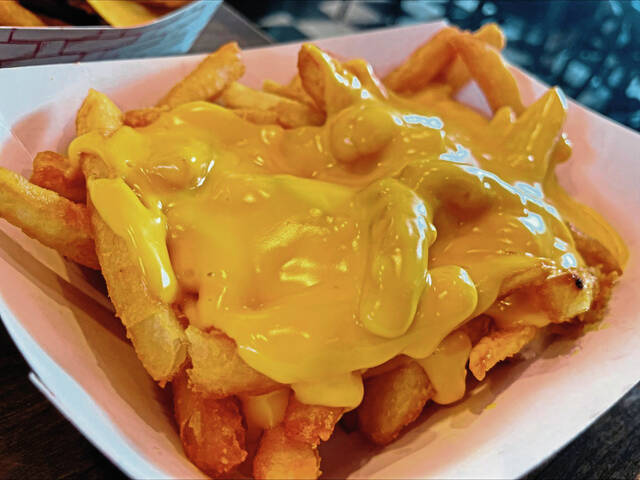 8789926_web1_PTR-Cheese-fries-Kennywood-2025-FILE