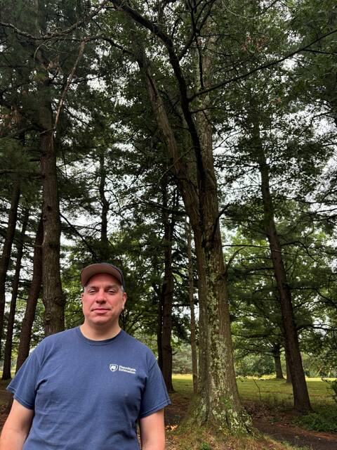8792633_web1_naj-TreeBrianInstructor-082825
