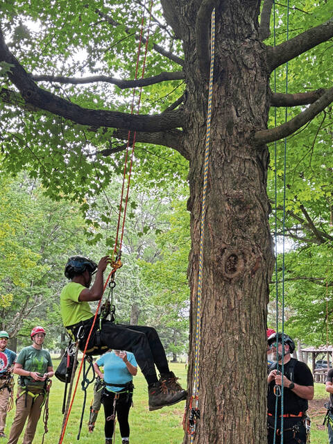 8792633_web1_naj-TreePhillipsClimb-082825