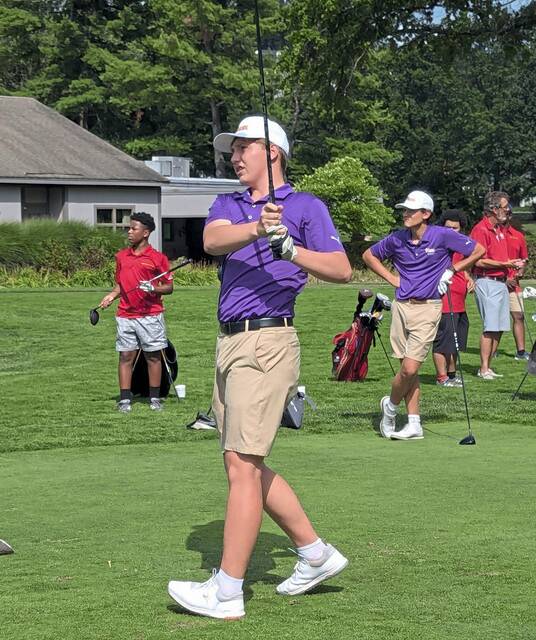 Plum boys golf recovers from graduation loss to contend in Section 4-3A