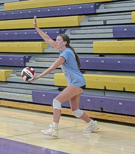 Experienced group returns to lead Plum girls volleyball