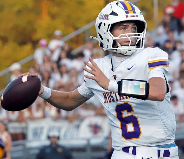 New coordinator has Plum offense humming in victory over Franklin Regional