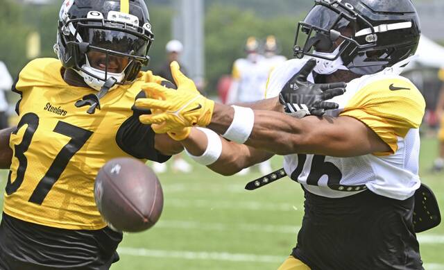 Steelers begin roster purge, cutting 11 a day after preseason finale