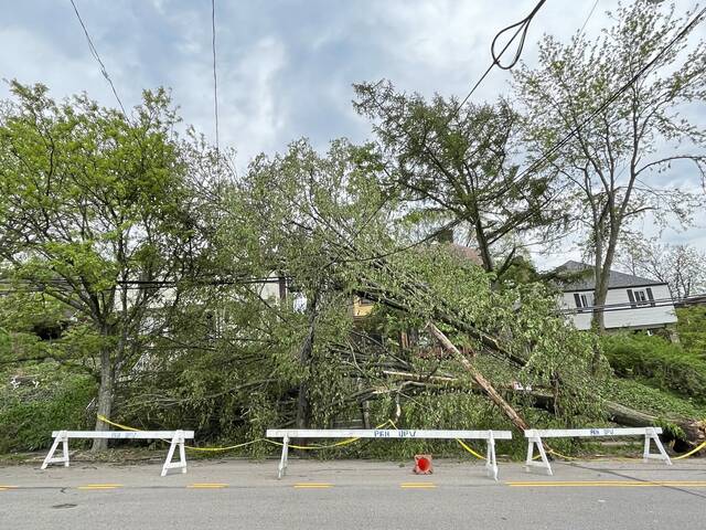 8816307_web1_PTR-Downed-trees-storm-damage-Pittsburgh-2025