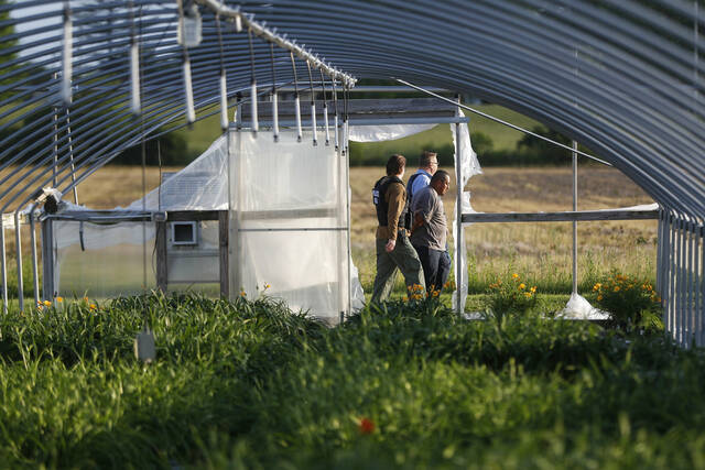 1.2M immigrants are gone from the U.S. labor force under Trump, preliminary data shows