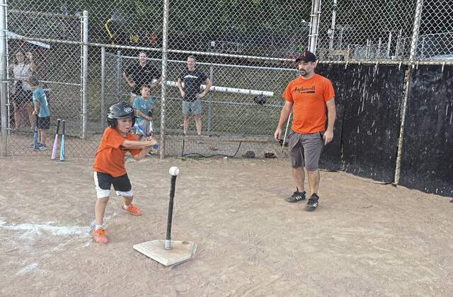 8808860_web1_HER-AspTeeBall2-090425