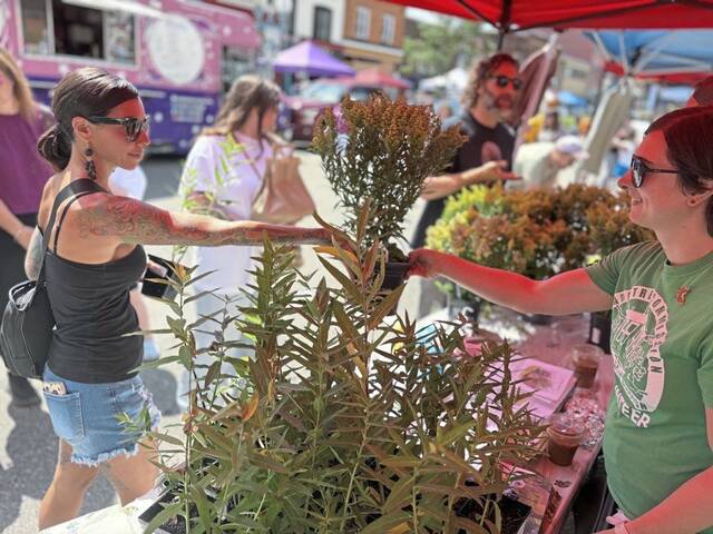 Carnegie celebrates, promotes monarch butterflies at annual festival