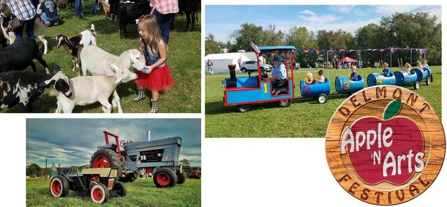 8812918_web1_photo9_delmont-apple-arts-festival