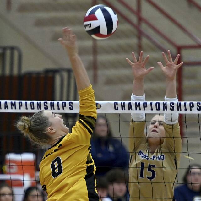 North Allegheny girls volleyball unfazed by early losses