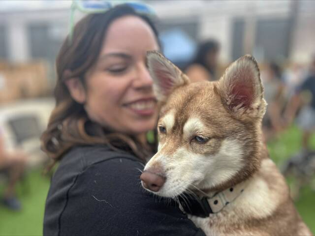 8826217_web1_PTR-PTR-LaborDayDogs-090225-002