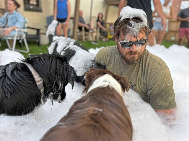 8826217_web1_PTR-PTR-LaborDayDogs-090225-003