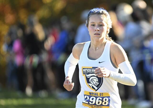 Norwin cross country teams show no signs of slowing down