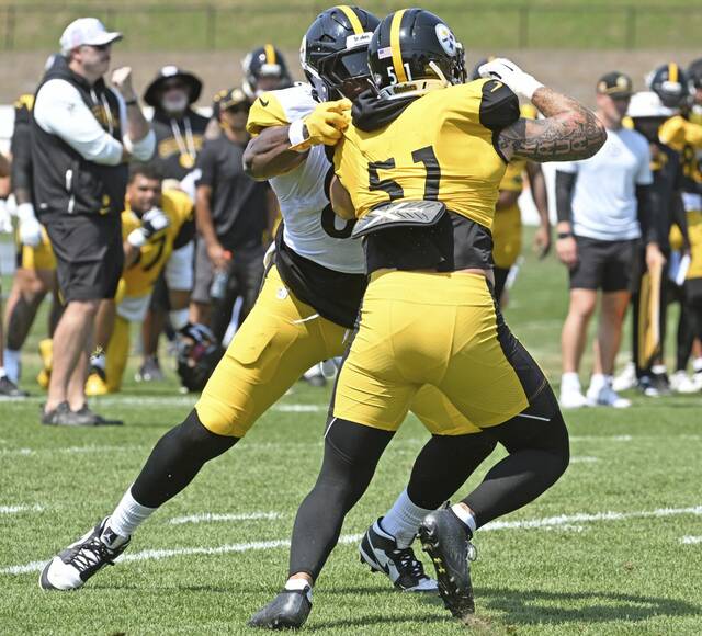 8842086_web1_ptr-Steelers06-080425