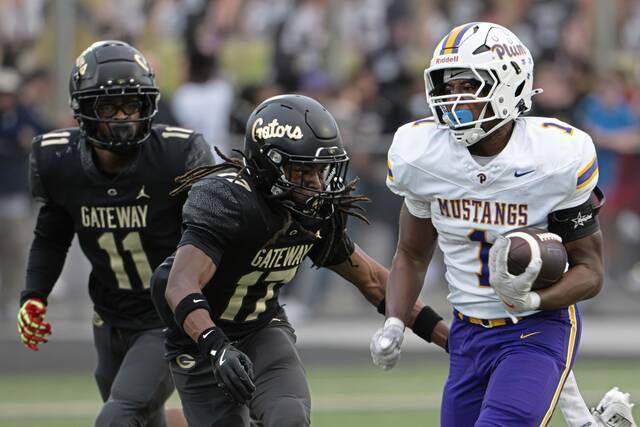 The Birdie hits the jackpot with his Week 3 picks in the A-K Valley