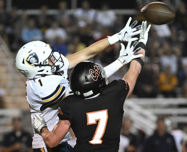 Fortune favors The Birdie as he makes his Westmoreland County Week 3 picks