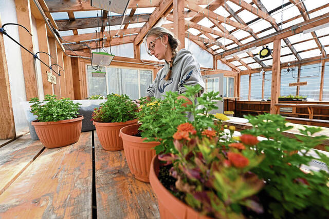 8851184_web1_vnd-harvestgreenhouse1-091125