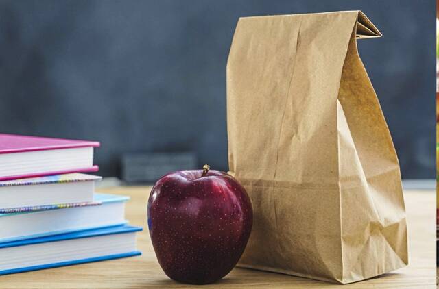 8851195_web1_School-Lunch-Bag.-WEB