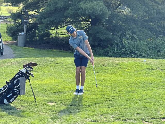 A-K Valley high school notebook: Freeport, Deer Lakes golfers duke it out atop section standings