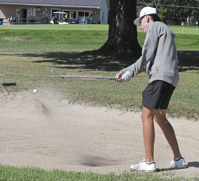 Penn-Trafford notebook: Senior golfer finishes in top 10 at WCCA tournament