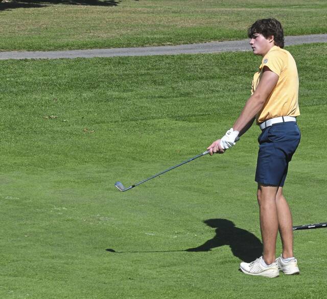 Pair of Franklin Regional golfers medal at WCCA tournament