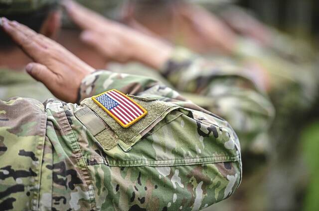 8856026_web1_Veterans-Salute-WEB