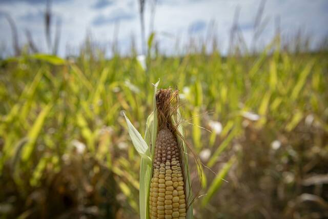 8866856_web1_vnd-weatherproduce10-091725
