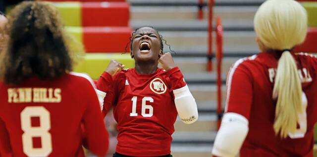 Penn Hills girls volleyball team looks up to Pitt players