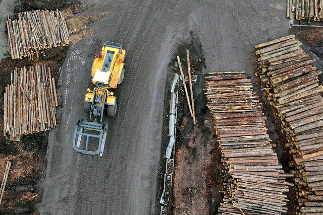 8909612_web1_2025-09-30T025438Z_1_LYNXNPEL8T032_RTROPTP_4_USA-TRUMP-TARIFFS-LUMBER