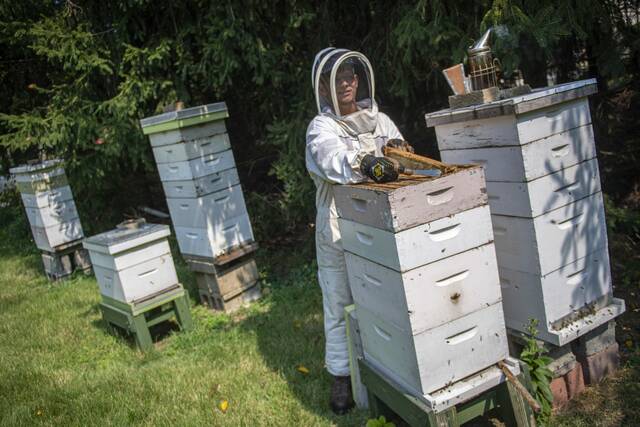 8848676_web1_sj-BeekeeperStudent7-091825