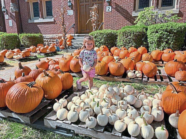 8907235_web1_sew-LinesOnlyPumpkins-1