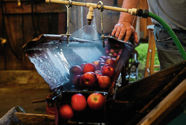 8910821_web1_gtr-lo-applepress002-100325