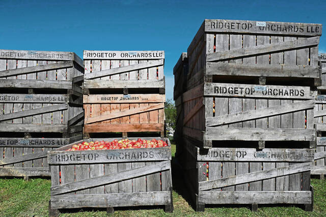8910821_web1_gtr-lo-applepress005-100325