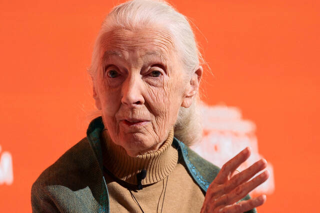 8914681_web1_2025-10-01T182006Z_1975313642_RC2EYGA43463_RTRMADP_3_PEOPLE-JANE-GOODALL
