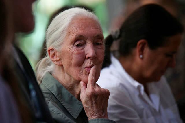8914681_web1_2025-10-01T182010Z_1383002997_RC2NL9AWB1N7_RTRMADP_3_PEOPLE-JANE-GOODALL