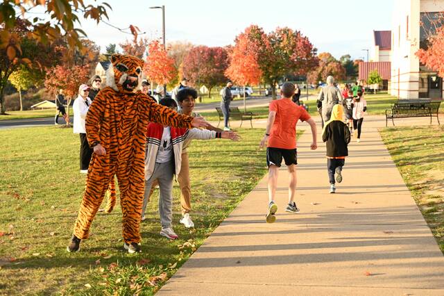 8917654_web1_naj-TrickorTrotTiger-100925