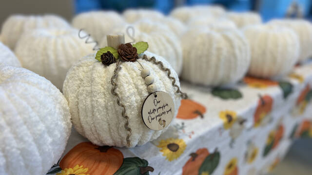 8926359_web1_ptr-whitepumpkin-100625-1