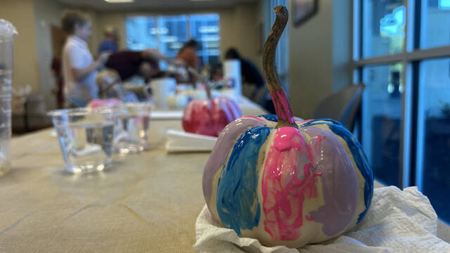 8926359_web1_ptr-whitepumpkin-100625-6
