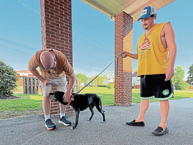 8926654_web1_vnd-petblessing-100625