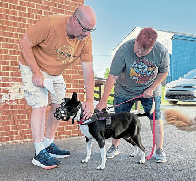 8926654_web1_vnd-petblessing4-100625
