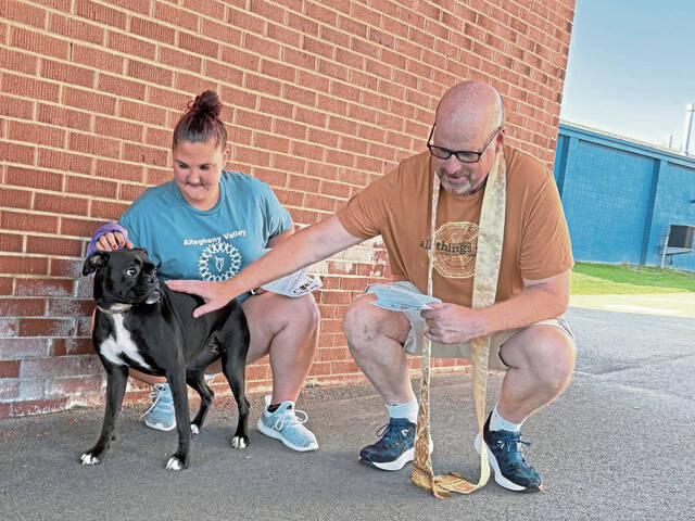 8926654_web1_vnd-petblessing5-100625