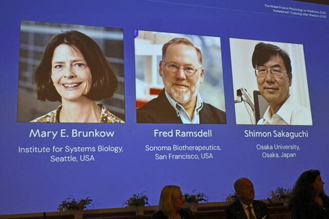 8927527_web1_2025-10-06T101513Z_155535786_RC296HAK9UIS_RTRMADP_3_NOBEL-PRIZE-MEDICINE