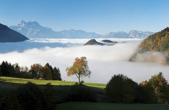 8927926_web1_2025-10-14t092259z_522927826_rc2jbha3q0sn_rtrmadp_3_europe-weather-swiss-autumn