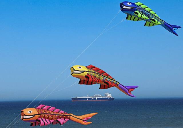 8927941_web1_2025-10-21t134943z_1966080513_rc29ghankbd7_rtrmadp_3_safrica-festival-kites