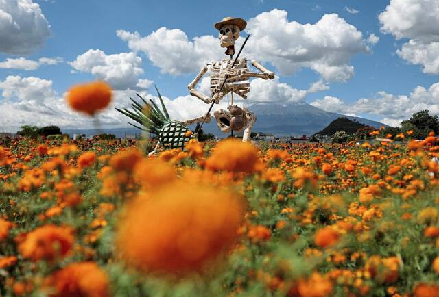 8927947_web1_2025-10-22t233552z_587711442_rc26hhagg517_rtrmadp_3_mexico-dayofthedead