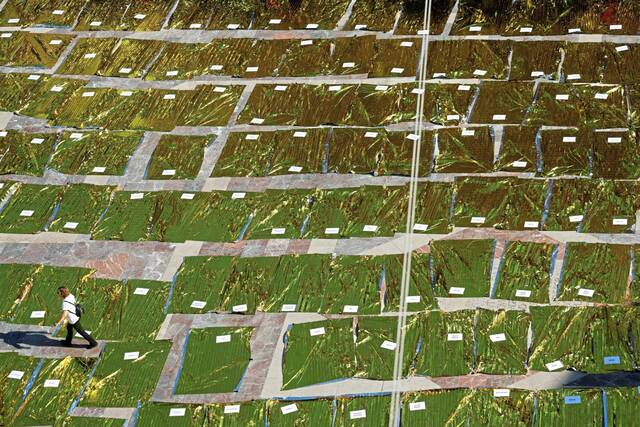 8927959_web1_2025-10-29T123448Z_1251851128_RC2OLHA1RDX9_RTRMADP_3_EUROPE-WEATHER-SPAIN-FLOODS