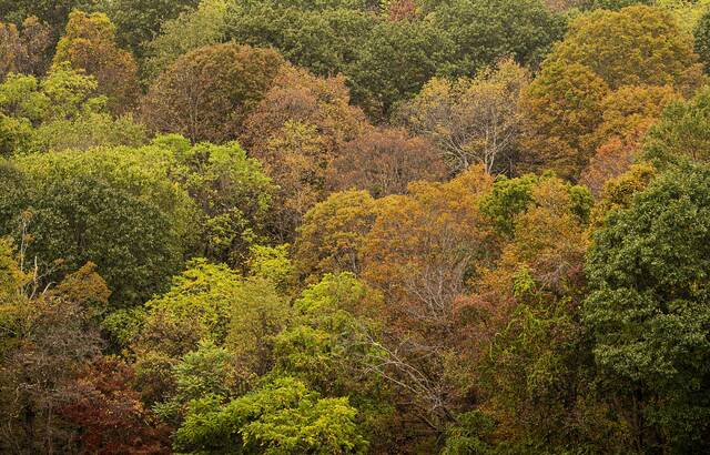 8928126_web1_gtr-Fall5