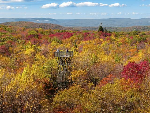 8928126_web1_ptr-FallFoliage-Davis