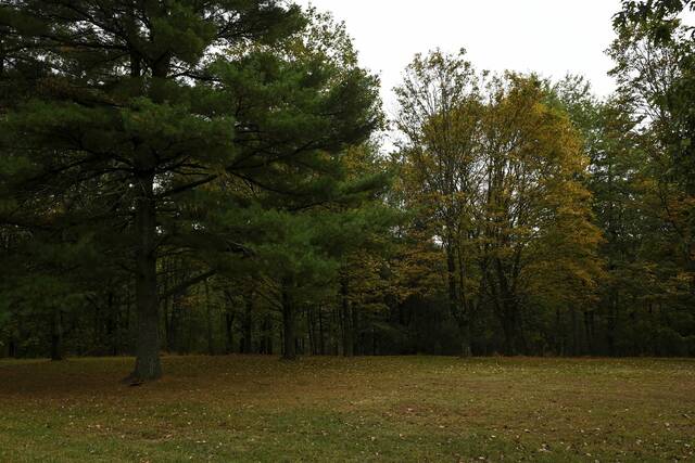 8928126_web1_ptr-fallfoliage004-100725