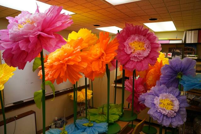 8928881_web1_sew-sweetwatergala1