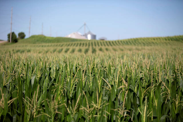8929503_web1_2025-10-06T215939Z_1_LYNXNPEL950ZU_RTROPTP_4_USA-TRUMP-FARM-AID